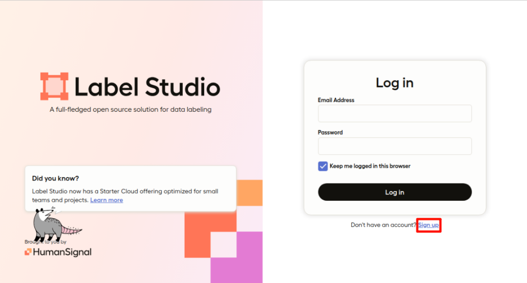 image-20241231173648480